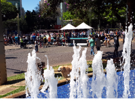 Programa BH é da Gente retoma atividades no domingo para oferecer lazer para a população em espaços públicos. Foto - divulgação