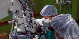 Brasil deve bater recorde de doação de órgãos