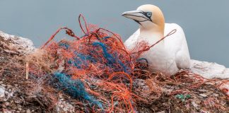 Redes de pesca terão que ser identificadas