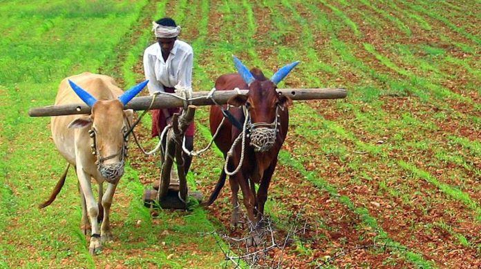 Estado da Índia só tem agricultura orgânica