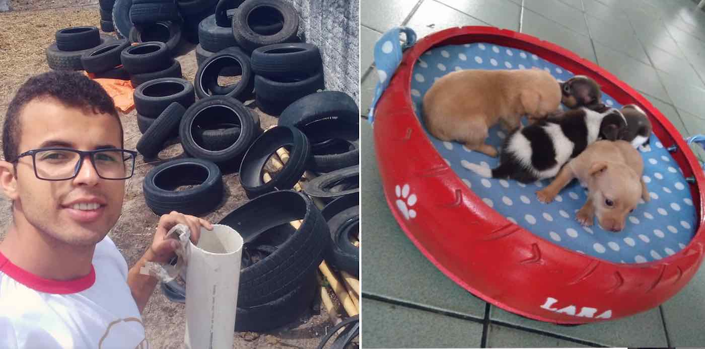 Jovem recolhe pneus e transforma em camas para pets - Boas 