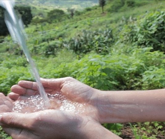 Comunidade rural protege nascentes