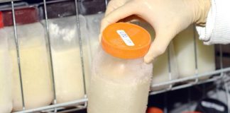 Campanha visa aumentar doação de leite materno