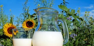 Uso de luz ultravioleta no beneficiamento do leite torna uma de suas principais proteínas de mais fácil digestão.