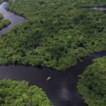 Estudo mostra que preservar a floresta Amazônica pode gerar uma economia anual, mínima, de R$ 33 bilhões para o Brasil.