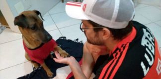 Danilo decidiu rifar ingresso da semifinal da Libertadores para bancar tratamento de câncer de Doce, o seu cachorro vira-lata. Foto - Instagram Danilo - Reprodução