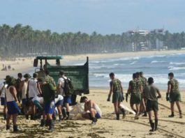 Homens do Exército começaram hoje (22-11), em Pernambuco, trabalho de limpeza das praias atingidas por manchas de óleo.