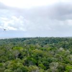Drone antes usado para grandes produções de Hollywood hoje servem para realizar pesquisas na floresta Amazônica. Fotos - SWNS