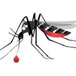 UFMG desenvolve nova tecnologia que vai ajudar a combater o Aedes aegypti, mosquito transmissor da dengue, chikungunya e zika
