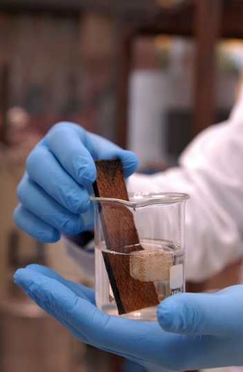 Pastilha de tijolo tratada quimicamente é nova arma para combater mosquito da dengue . Foto Raphaella Dias 