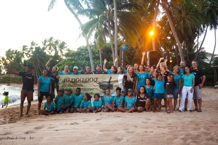 Projeto Tamar: 40 anos de vida e 40 milhões de tartarugas protegidas no litoral brasileiro. Fotos - Projeto Tamar/Facebook