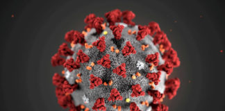 Modelo da morfologia do novo coronavírus, o Sars-CoV-2, divulgado pelo Centro de Controle de Doenças (CDC, na sigla em inglês), dos EUA.