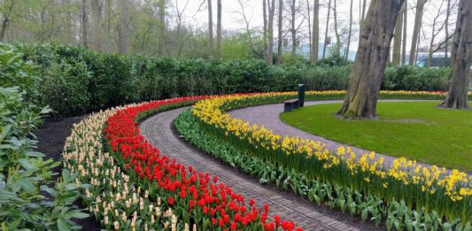 Keukenhof - Divulgação