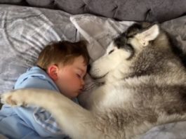 O pequeno Parker em momento fofura com seu cão, um husk siberiano. Foto - Youtube-reprodução
