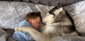 O pequeno Parker em momento fofura com seu cão, um husk siberiano. Foto - Youtube-reprodução
