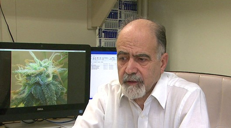 Professor Antonio Zuardi,  da Universidade de Medicina de Ribeirão Preto, pioneiro em pesquisas com o canabidiol. Foto - Divulgação