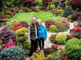 O casal Tony e Marie, no jardim que cultivam desde 1982 e que explodiu em cores na primavera