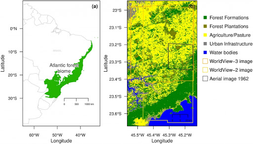 À direita da imagem, no quadrado, a área da Mata Atlântica pesquisada pelo Inpe. À esquerda, o que restou da floresta pelo Brasil. Imagem - Inpe