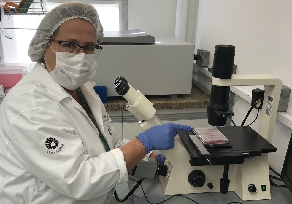 Virologista Clarice Arns coordenou os testes no saco de lixo que elimina coronavírus 