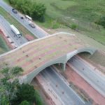 viaduto-vegetado-br-101-amld