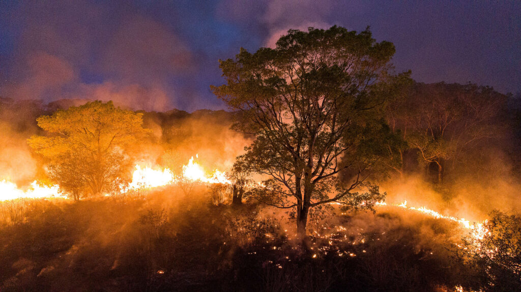 Trecho do Pantanal, um dos biomas mais ricos do mundo, sendo consumido pelo fogo
