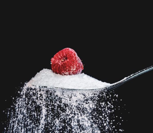 Imagem de Myriam Zilles - Pixabay