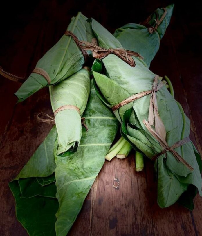 Molhes de taioba amarrados com embira de banana - Foto - Cozinha Santo Antônio