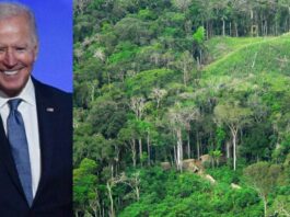 Joe Biden, novo presidente dos Estados Unidos, é um defensor da Floresta Amazônica