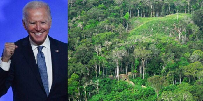Joe Biden, novo presidente dos Estados Unidos, é um defensor da Floresta Amazônica