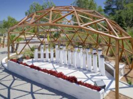 Primeiro "Piano vegetal" do mundo está num parque em Ibiza, Espanha. Fotos - Jardim Biotecnológico de Ibiza