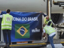 Insumos para a produção da Coronavac que chegaram hoje (3-12) da China. Fotos - Twitter João Dória