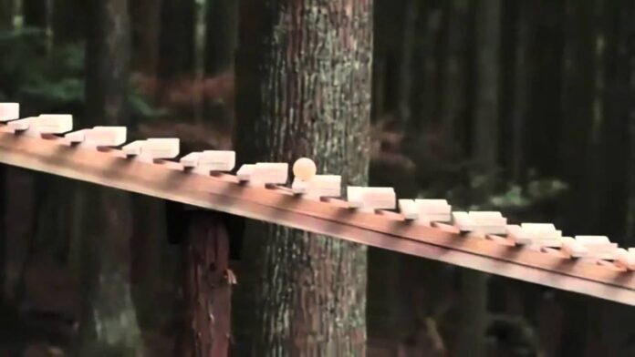 Xilofone construído em floresta para executar peça de Bach. Foto - Mori Inc. - divulgação
