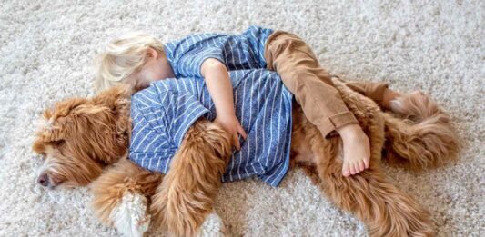 O garoto Buddy e seu inseparável amigo Regan, um cão labradoodle