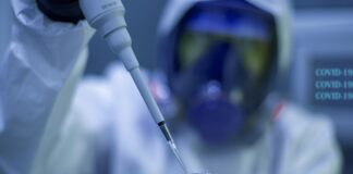 UFMG está desenvolvendo sete vacinas contra a Covid-19; uma delas já vai iniciar testes em seres humanos. Foto - Pixabay