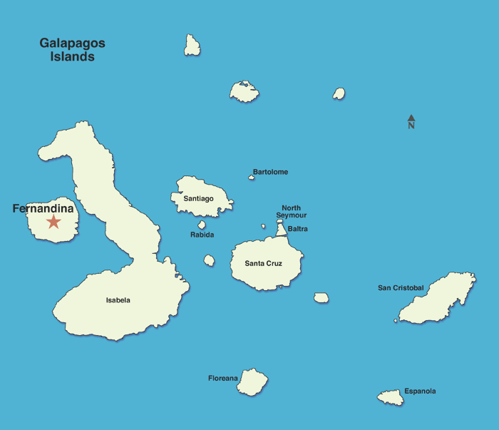 Ilha Fernandina (com estrela vermelha), onde foi encontrada Fern, tem 600 km quadrados
