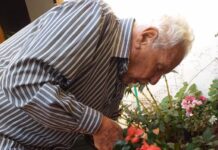 "Velho Osvaldo" cuidando de um lindo canteiro de flores. Foto - arquivo pessoal