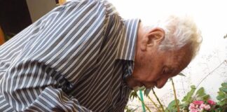 "Velho Osvaldo" cuidando de um lindo canteiro de flores. Foto - arquivo pessoal