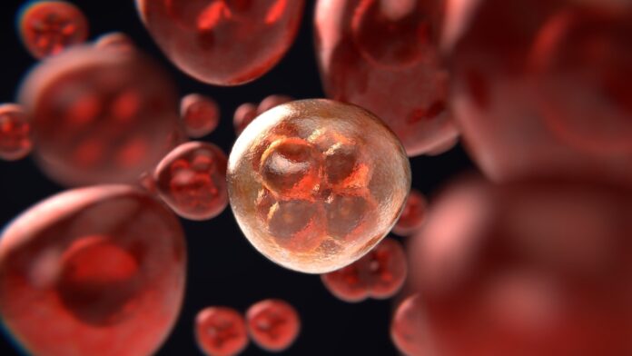 Nova proteína pode impedir que células de câncer se espalhem pelo corpo. Imagem Pixabay