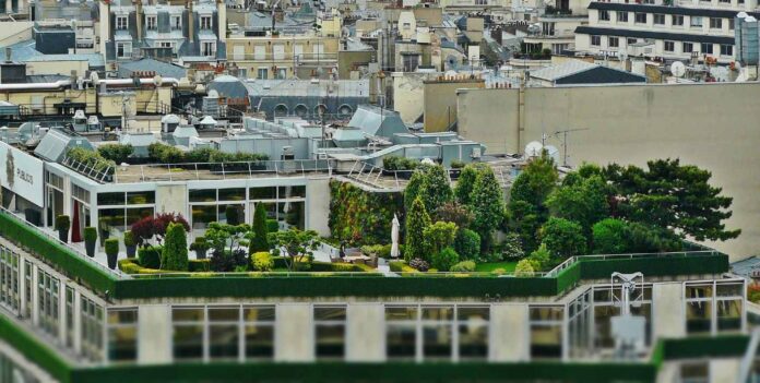 Telhado de prédio em Paris foi transformado em área verde. Foto. CocoParisiense/GGN