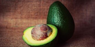 O abacate, conforme estudo da Universidade de Harvard, é um excelente alimento para o cérebro. Foto - redes sociais