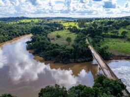 Trecho do Rio Pará, curso d´água que passa nos fundos da casa da família Bicalho. Foto - CBH Rio Pará