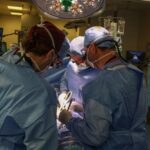 Foto da primeira cirurgia de transplante de um rim de porco em uma pessoa viva — Divulgação/Massachussets General Hospital
