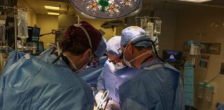 Foto da primeira cirurgia de transplante de um rim de porco em uma pessoa viva — Divulgação/Massachussets General Hospital