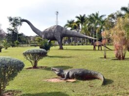 Geoparque de Uberaba agora integra a lista da Unesco. Foto - Geoparque Uberaba - divulgação