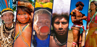 O 19 de abril é lembrado como o Dia dos Povos Indígenas no Brasil. Imagens - redes sociais