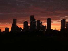 Houston (EUA) está diminuindo as luzes noturnas para facilitar migração de pássaros. Imagens - Pixabay