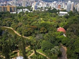 Imagem aérea do Parque Municipal, uma das regiões mais arborizadas de Belo Horizonte. Foto - Prefeitura de BH-Divulgação