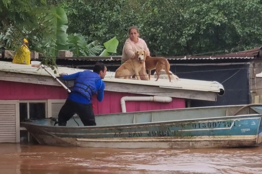 Esforço de voluntário para salvar dois cachorros