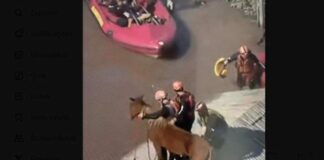 O cavalo Caramelo no momento do seu resgate de cima de uma telhado em Canoas. Foto - Globonews- Reprodução