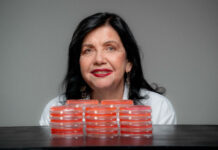 Agrônoma Mariangela Hungria recebeu o "Nobel da Agricultura". Foto - A.Neto - Governo do Paraná